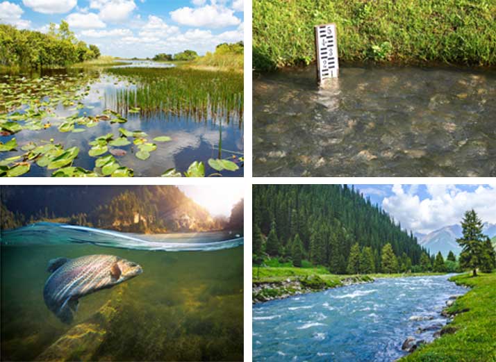 ˮ�­h(hu��n)��